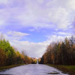 Obraz premium road in autumn