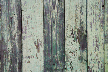 Worn old light green vertical wooden boards with scratches and circles from knots.  Abstract wooden background.