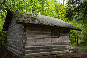 Fototapeta na wymiar Moss covered roof of historic log cabin at Eau Claire Gorge Conservation Area on forest trail