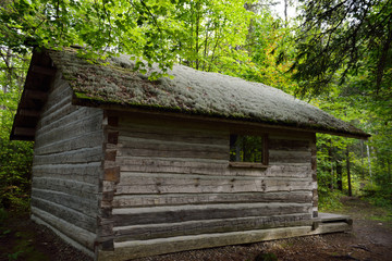 Moss covered roof of historic log cabin at Eau Claire Gorge Conservation Area on forest trail