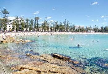 Shelly Beach and Manly Beach, Sydney, New South Wales, Australia, Australasia - obrazy, fototapety, plakaty