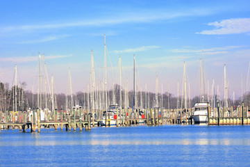 Fototapeta na wymiar Marina on the Chesapeake Bay