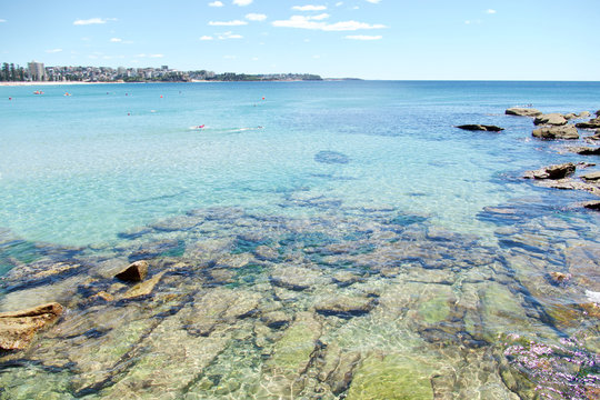Shelly Beach and Manly Beach, Sydney, New South Wales, Australia, Australasia