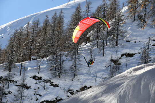 Parapendio con gli sci in mezzo al bosco