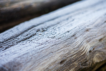 fonto tronco de madera con helada