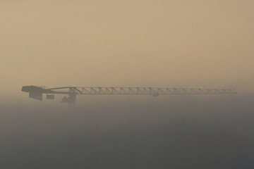 Grue dans le brouillard