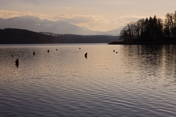 Naklejka premium Abendstimmung am Simsee (Chiemgau)