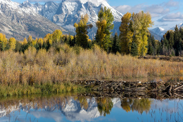 Schwabachers Landing