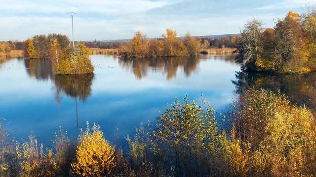 Bird nature reserve lake view, real time shot