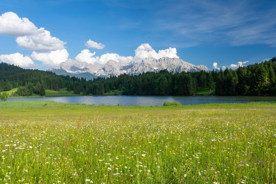 Alpine Lake And Flowering Meadow In Bavaria