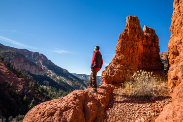 Man standing on top of red rock cliff in Utah desert admiring the view.