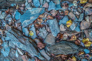 Fallen leaves on rocks