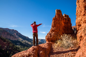 Man in red jacket among red rock hoodoos pointing down desert canyon.