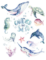 Set of sea animals poster. Blue watercolor ocean fish, turtle, whale and coral. Shell aquarium background. Nautical wildlife dolphin marine illustration, jellyfish, starfish © kris_art
