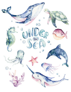 Set of sea animals poster. Blue watercolor ocean fish, turtle, whale and coral. Shell aquarium background. Nautical wildlife dolphin marine illustration, jellyfish, starfish
