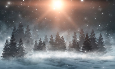 Winter abstract landscape. Sunlight in the winter forest. 