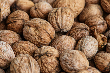 walnuts, unpeeled greek nuts, harvest of walnuts, walnuts closeup, background with walnuts,organic delicious nuts. healthy snack.
