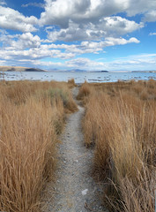 Mono Lake shoreline trail in fall, High Sierra, California, USA, lake path among tule grasses, Washoe Indian, Paiute territory