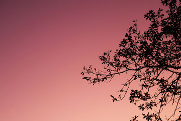 Wonderful colors of sunset