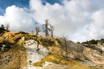 Mammoth Hot Springs