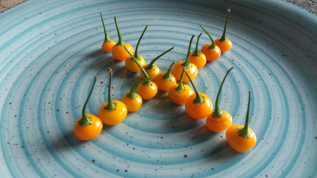 Aj&iacute; charapita, una especia  muy importante en la cocina de la selva peruana, por su aroma y sabor inigualable
