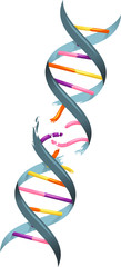 Broken DNA string