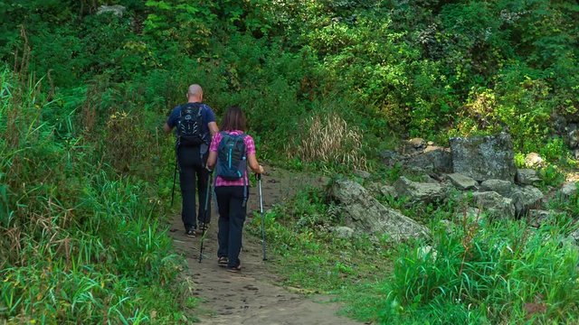 A couple is hiking downhill from a path and they stop. A man shows something to his partner.