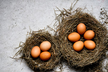 Chicken eggs in wicker nests in chicken coop top view. Natural organic eggs in the hay. Fresh chicken eggs.