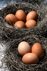 Chicken eggs in wicker nests in chicken coop top view. Natural organic eggs in the hay. Fresh chicken eggs.