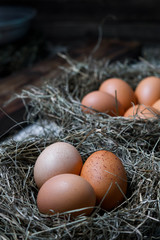 Chicken eggs in wicker nests in chicken coop top view. Natural organic eggs in the hay. Fresh chicken eggs.