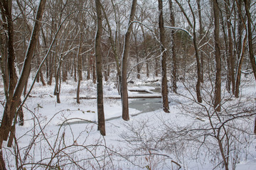 Frozen stream in the snowy forest