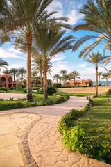 The path to the sea along a stone path with palm trees. Rest in sunny Africa. Egypt, Marsa Alam.