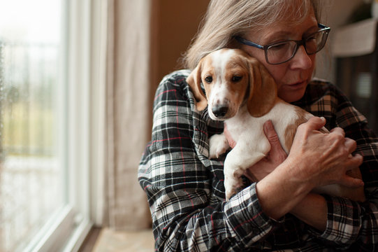 Senior Hugs Her New Dachshund Puppy Tightly At Home Next To Window