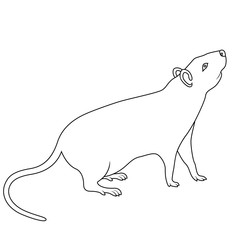 Black outline of Zodiac Sign Rat