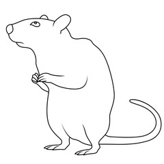 Black outline of Rat