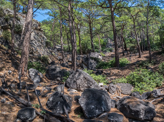 Landscape of woods and mountain slopes with rocks