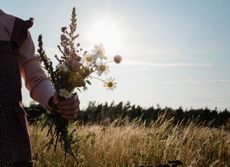 young girls hand holding wild flowers in a meadow at sunset