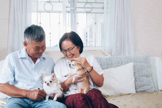 Asian senior couple holding the dogs on the couch at thire house