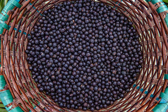 Acai Berries