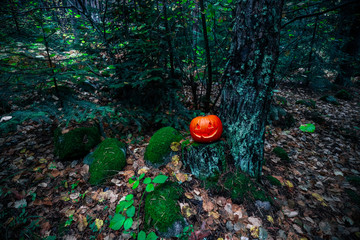 Scary Halloween lantern, made of pumpkin at the dark forest. Spooky Halloween outdoor backdrop.