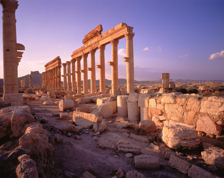 Columns in Desert Palmyra Ruins, Syria