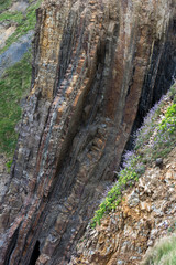 Vertical rock formation near Bude
