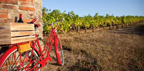 Vélo rouge ancien dans les vignes en France