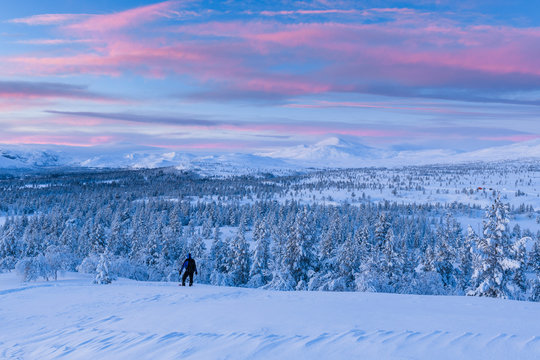 Winter landscape at sunset