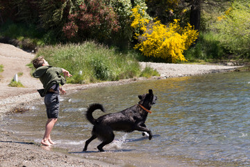 Niño jugando con su mascota en la playa, felices y contentos. 
