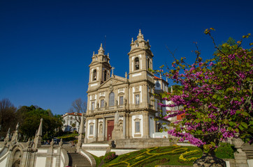 Fototapeta na wymiar Sanctuary of Bom Jesus do Monte with a flowering tree under a blue sky