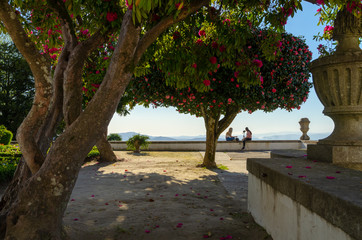 Women arguing under flowering trees and looking at the horizon