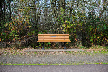 bench in the park