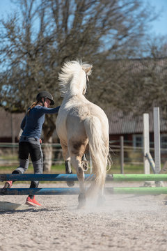 Teenage girl with horse on paddock