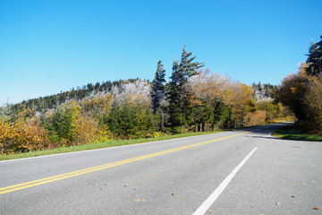 Fototapeta premium Herbst